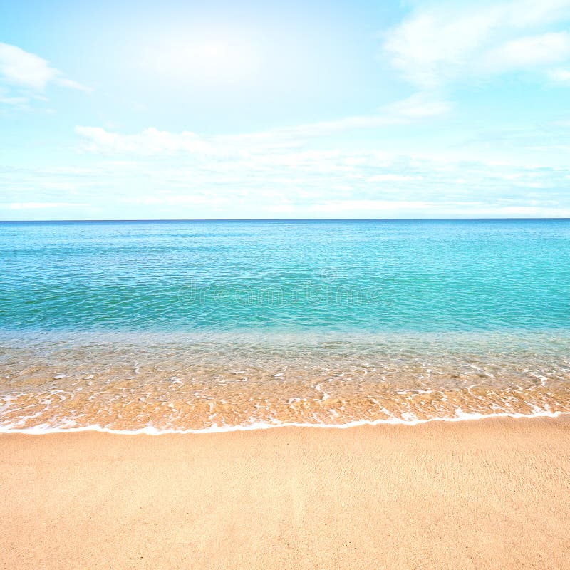 Playa de Sandy con agua tranquila contra los cielos azules