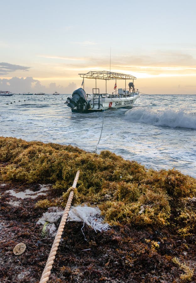 Playa del Carmen, Mexico - January, 2019: Fishing boat mooring in the ocean during sunset