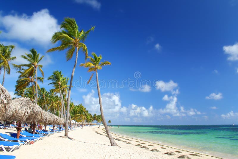 Caribbean resort beach dotted with palm trees, thatched sunshade umbrellas and chairs. Travel, Vacation & Hospitality Collection. Caribbean resort beach dotted with palm trees, thatched sunshade umbrellas and chairs. Travel, Vacation & Hospitality Collection.