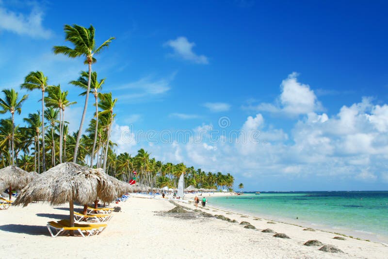 Caribbean resort beach fringed with palm trees, thatched sunshade umbrellas and chairs. Travel, Vacation & Hospitality Collection. Caribbean resort beach fringed with palm trees, thatched sunshade umbrellas and chairs. Travel, Vacation & Hospitality Collection.