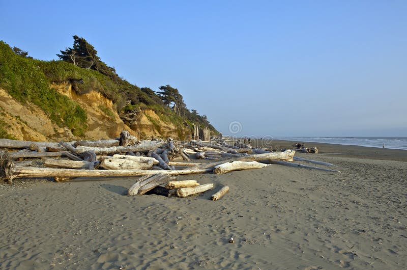 Playa del norte de California foto de archivo Playa del norte de California foto de archivo