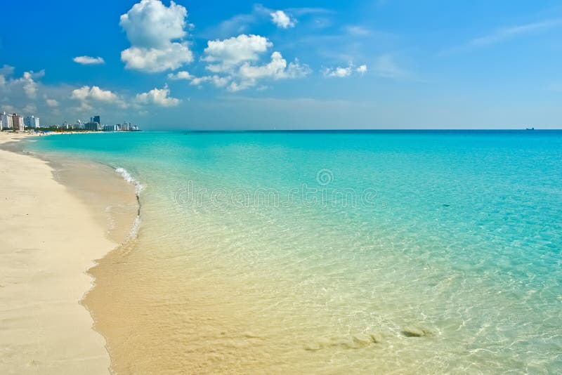 Playa del sur Playa del sur