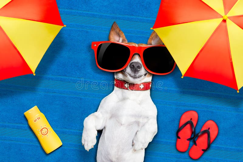 Dog lying on towel under shade of umbrella relaxing and chilling out in the summer vacation. Dog lying on towel under shade of umbrella relaxing and chilling out in the summer vacation