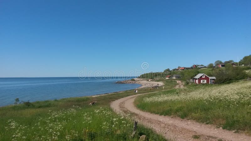 Playa en Öland, Suecia, mar Báltico foto de archivo Playa en Öland, Suecia, mar Báltico foto de archivo