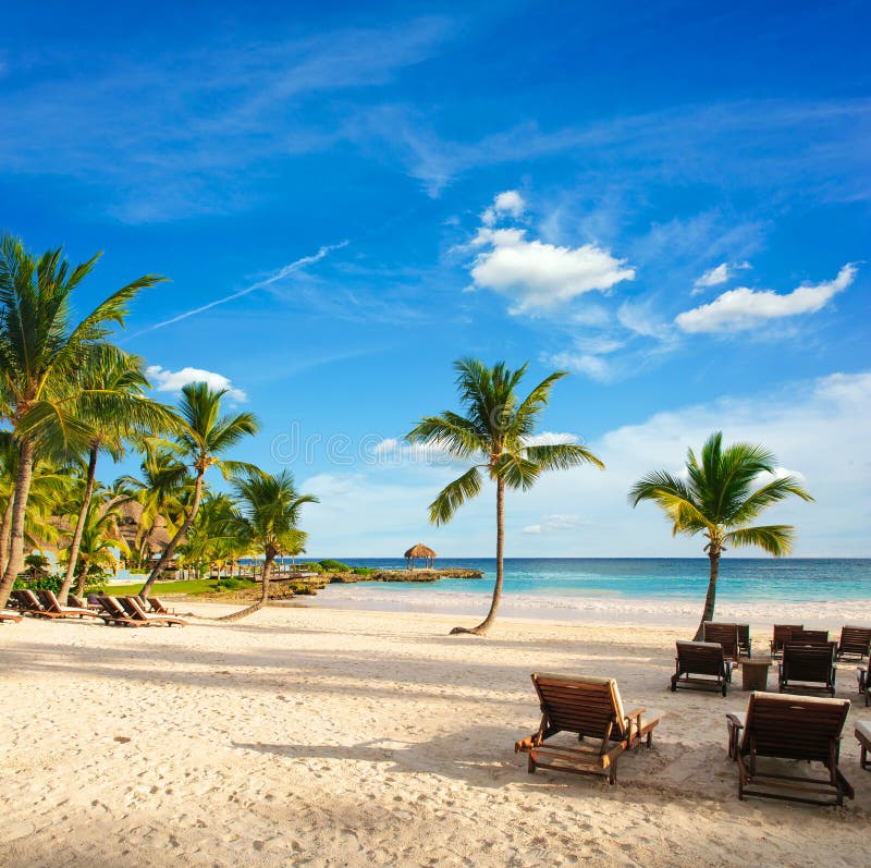 Tropical Paradise. Dominican Republic, Seychelles, Caribbean, Mauritius, Philippines, Bahamas. Relaxing on remote Paradise beach. Vintage. Punta Cana. Dream beach with palm tree over the sand. Tropical Paradise. Dominican Republic, Seychelles, Caribbean, Mauritius, Philippines, Bahamas. Relaxing on remote Paradise beach. Vintage. Punta Cana. Dream beach with palm tree over the sand