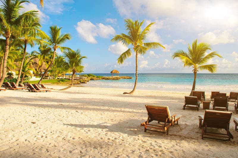 Tropical Paradise. Dominican Republic, Seychelles, Caribbean, Mauritius, Philippines, Bahamas. Relaxing on remote Paradise beach. Vintage. Punta Cana. Dream beach with palm tree over the sand. Tropical Paradise. Dominican Republic, Seychelles, Caribbean, Mauritius, Philippines, Bahamas. Relaxing on remote Paradise beach. Vintage. Punta Cana. Dream beach with palm tree over the sand