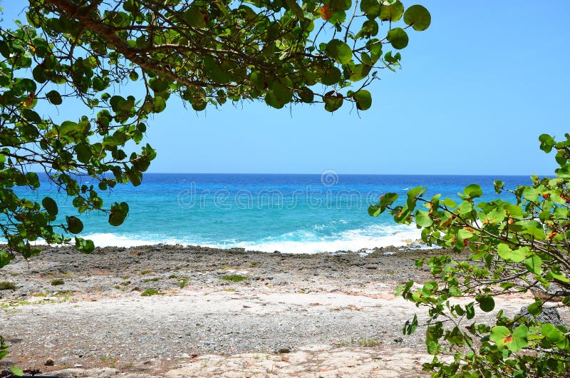 Playa Larga, Cuba immagini stock libere da diritti Playa Larga, Cuba immagini stock libere da diritti