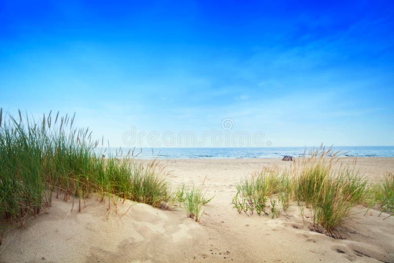 Playa tranquila con las dunas y la hierba verde Océano tranquilo