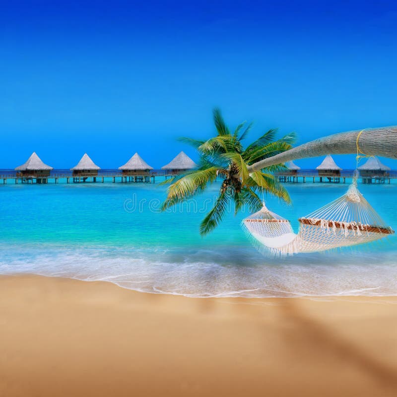 Playa tropical imagen de archivo libre de regalías Playa tropical imagen de archivo libre de regalías