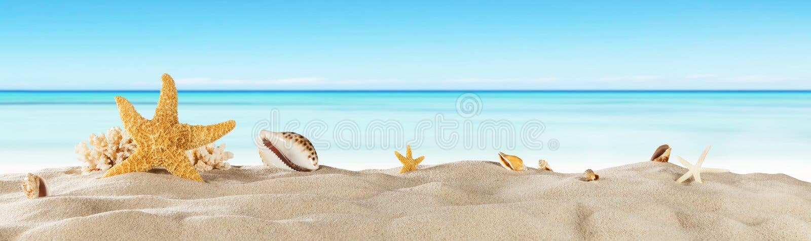 Playa tropical con la estrella de mar en la arena, fondo de las vacaciones de verano Playa tropical con la estrella de mar en la arena, fondo de las vacaciones de verano