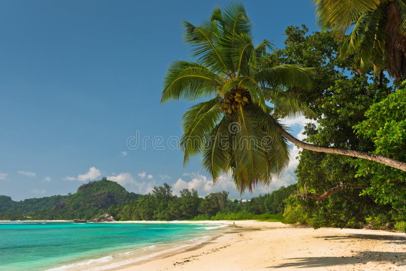 Tropical beach at Mahe island Seychelles. Horizontal shot. Tropical beach at Mahe island Seychelles. Horizontal shot