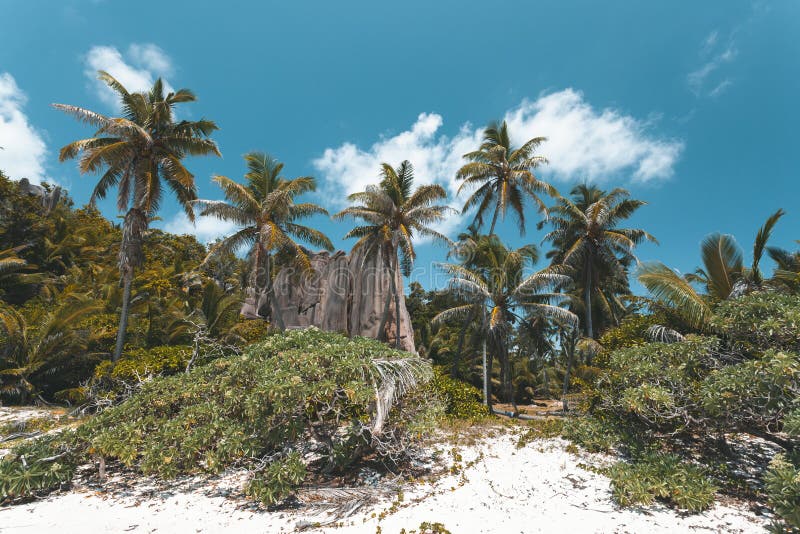 Playa tropical en Seychelles fotografía de archivo Playa tropical en Seychelles fotografía de archivo