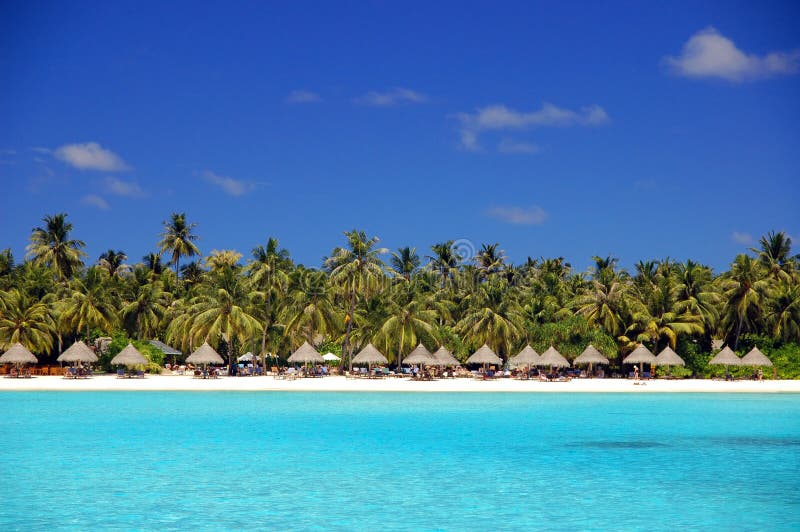 Beautiful tropical beach with coconut palm trees. Beautiful tropical beach with coconut palm trees