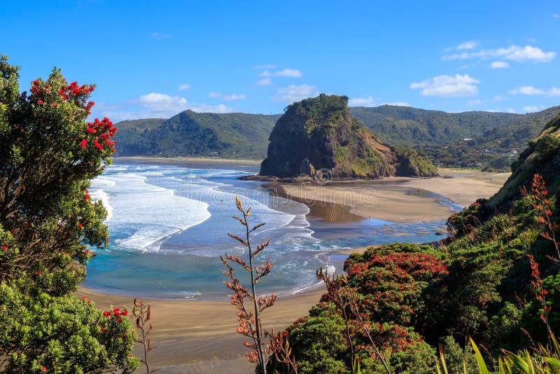 Playa y Lion Rock de Piha del verano imágenes de archivo libres de regalías Playa y Lion Rock de Piha del verano imágenes de archivo libres de regalías