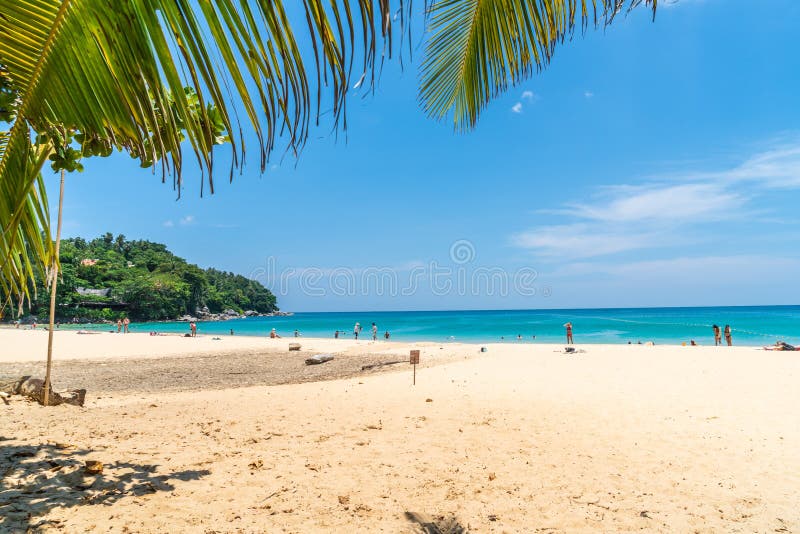 Playa y mar tropicales hermosos con la palmera del coco en la isla del paraíso foto de archivo Playa y mar tropicales hermosos con la palmera del coco en la isla del paraíso foto de archivo
