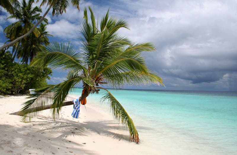 The last rays of sunliight shining on a beach in the maldives, as a dark storm cloud approaches in the background. The last rays of sunliight shining on a beach in the maldives, as a dark storm cloud approaches in the background.