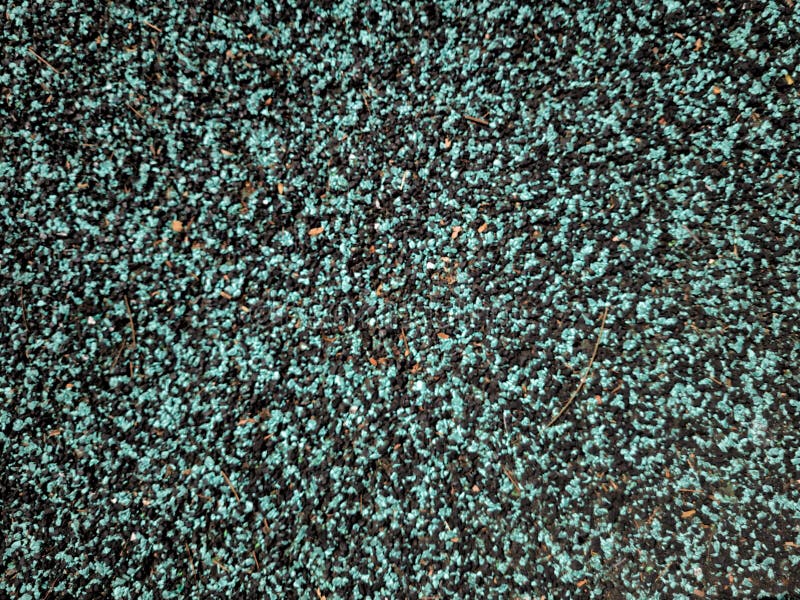 Closeup of a Rubber Ground in a Playground for Kids Stock Image - Image ...