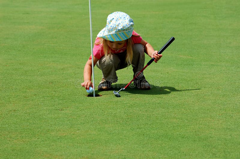 Old tired rural farm gate stock photo. Image of entrance 11952116