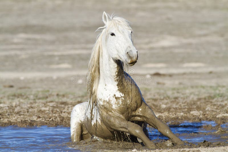 Playing In The Mud