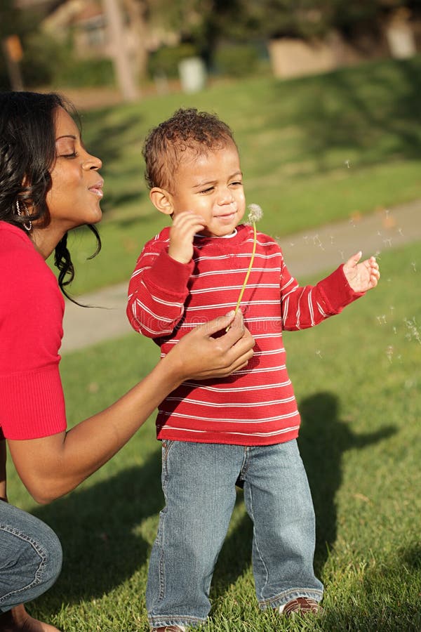 Mother and son blowing out a dandelion at the park. Mother and son blowing out a dandelion at the park