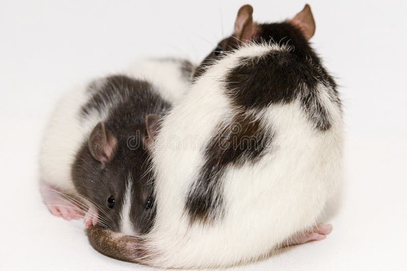 Tamara Bauer (Tamarabauer) Photographer profile