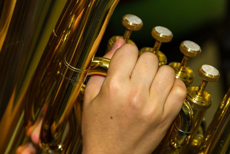 Tuba Drink Stock Photos Free & RoyaltyFree Stock Photos from Dreamstime