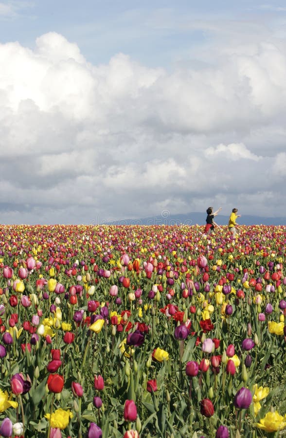 Playing in Tulip Fields