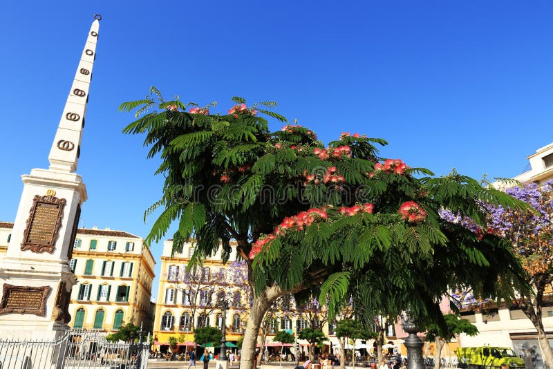 Plaza de la Mercaded, Histiric Building, Malaga, Spain