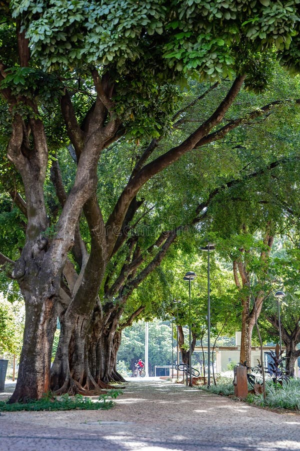 Plaza Dr. Pedro Ludovico Teixeira in Goiania City