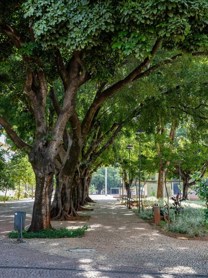 Plaza Dr. Pedro Ludovico Teixeira in Goiania City