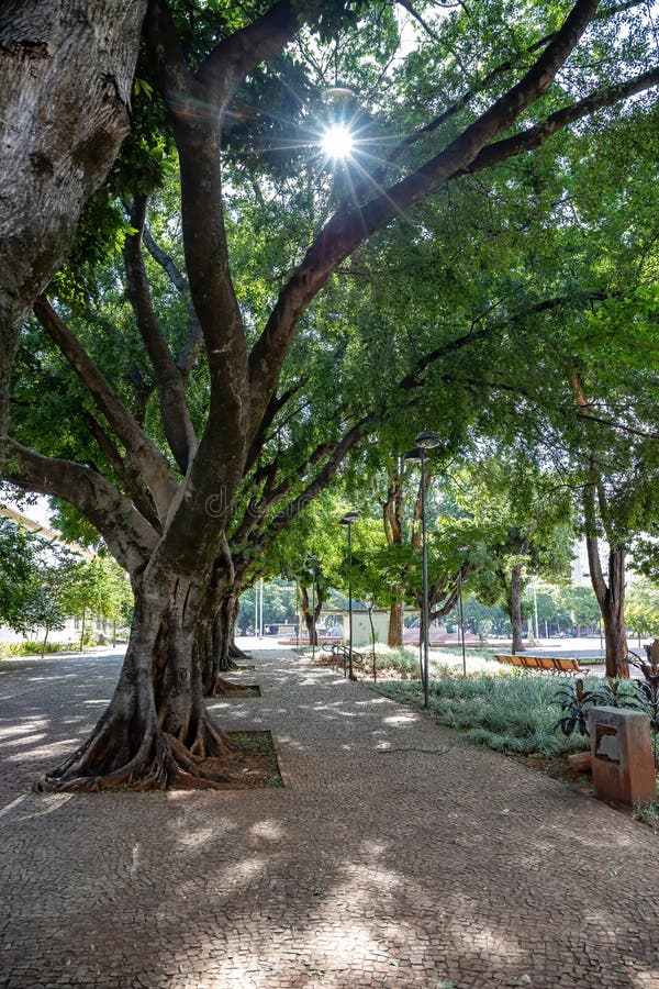 Plaza Dr. Pedro Ludovico Teixeira in Goiania City