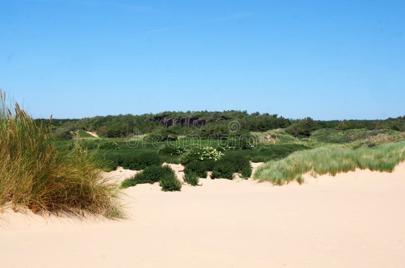 Plaża przy formby Merseyside z diunami zakrywać w marram roślinności z lasu krajobrazem w odległości i trawie zdjęcia royalty free Plaża przy formby Merseyside z diunami zakrywać w marram roślinności z lasu krajobrazem w odległości i trawie zdjęcia royalty free