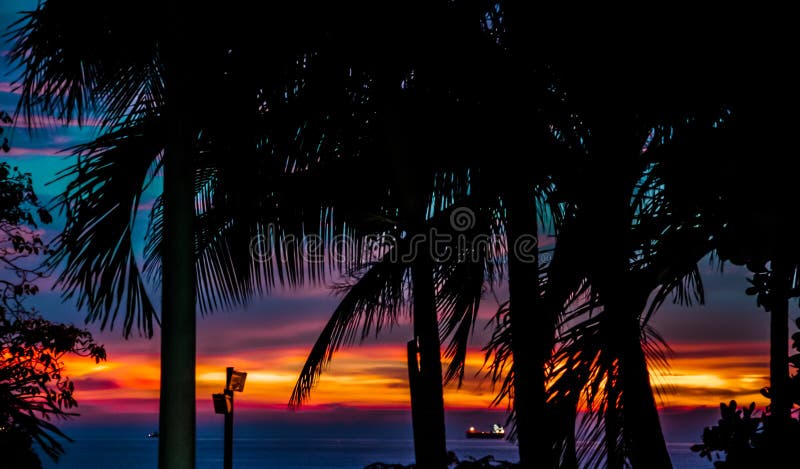 Plaża Tulum Meksyk obrazy stock Plaża Tulum Meksyk obrazy stock