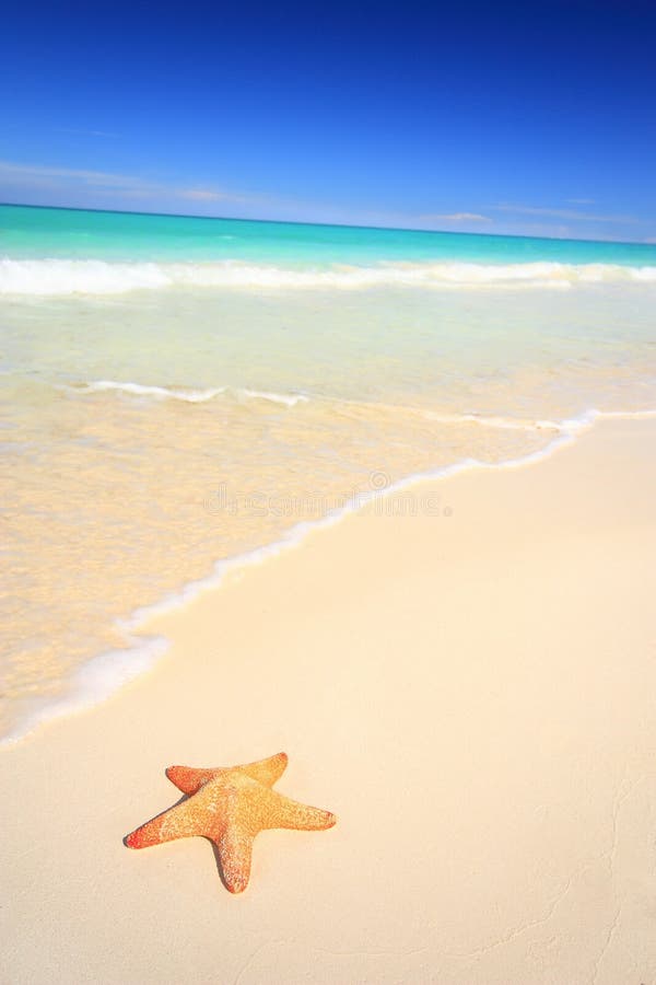 A lone starfish on a gorgeous tropical beach. Ample copy space available. Travel & Vacation Collection. A lone starfish on a gorgeous tropical beach. Ample copy space available. Travel & Vacation Collection.