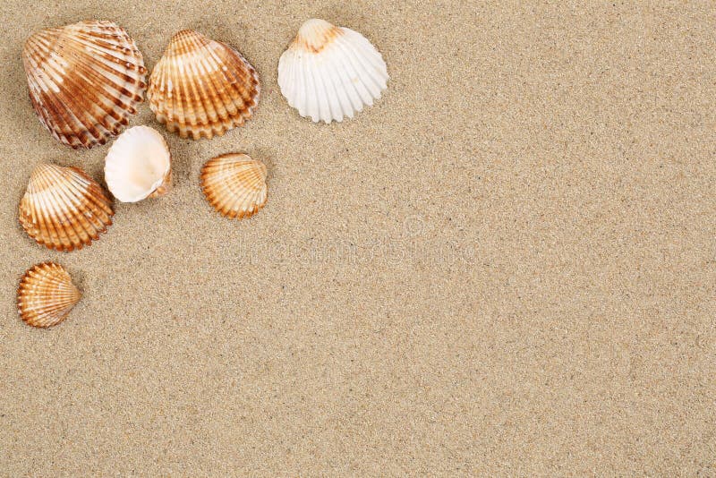 Plażowa scena w wakacje letni z piaskiem, morze skorupami i copyspac, obrazy stock Plażowa scena w wakacje letni z piaskiem, morze skorupami i copyspac, obrazy stock