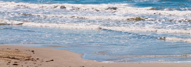 Plażowej oceanu panoramy piaskowate fala