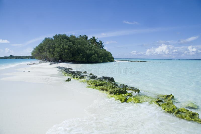 plażowi piękni Maldives zdjęcie royalty free plażowi piękni Maldives zdjęcie royalty free
