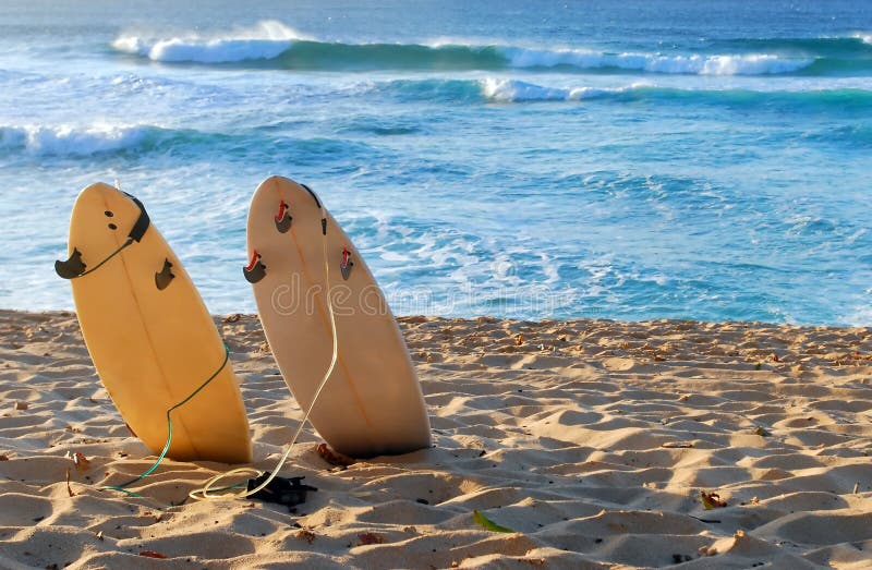 plażowy hawajczyk zdjęcia stock plażowy hawajczyk zdjęcia stock