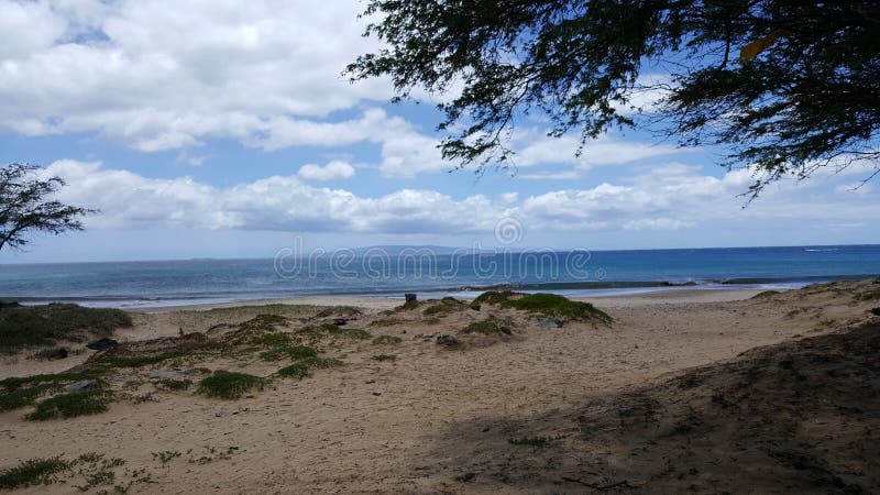plażowy hawajska fotografia stock plażowy hawajska fotografia stock