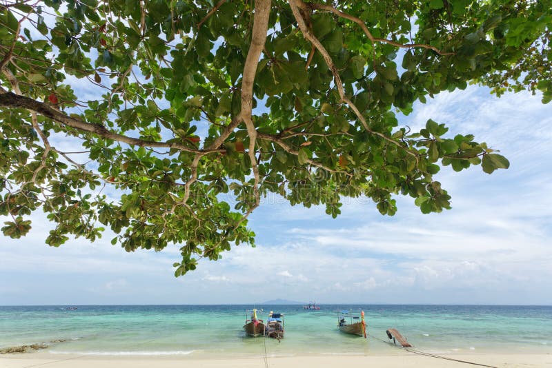 Plażowy wyspy ko phi