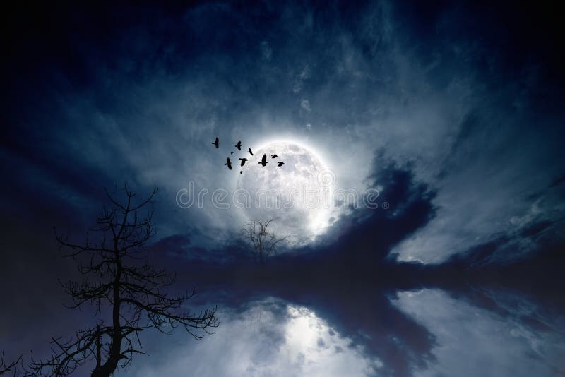 Pleine lune image libre de droits Pleine lune image libre de droits