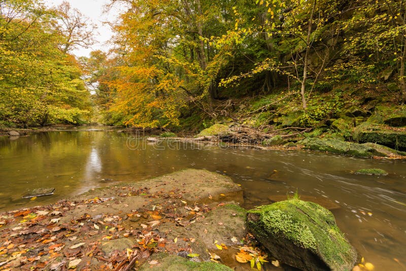 Plessey Woods and River Blyth