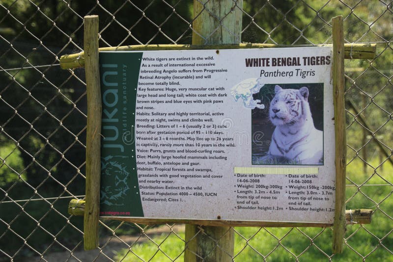 Information Board About Bengal Tigers In The Jukani Wildlife Sanctuary Near Plettenberg Bay