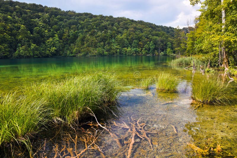 plitvice λιμνών της Κροατίας στοκ φωτογραφία plitvice λιμνών της Κροατίας στοκ φωτογραφία