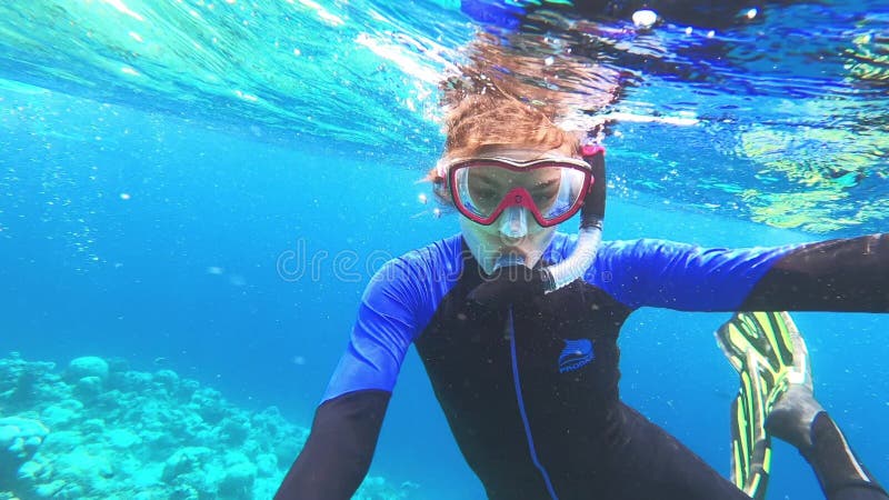 Équipement de Photographie et de Vidéographie Sous-Marine