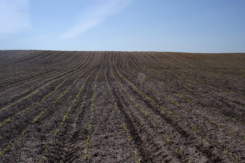 Plough land stock image. Image of freshness, land, environment 9275363