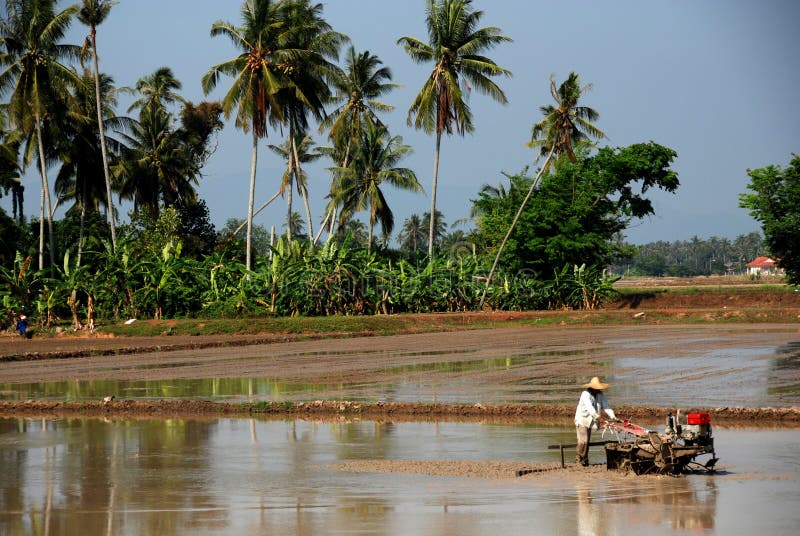 Plough machine and farmer