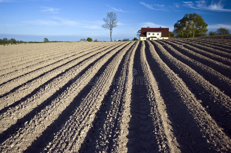 Ploughed field and house stock photo. Image of earth, alone 5296988