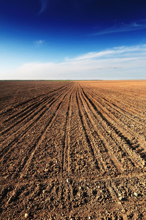 Ploughed field under blue sky stock images