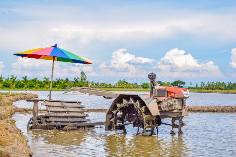 Plow Machine - Walking Tractor on rice field for work plow, Plow stock images Plow Machine - Walking Tractor on rice field for work plow, Plow stock images